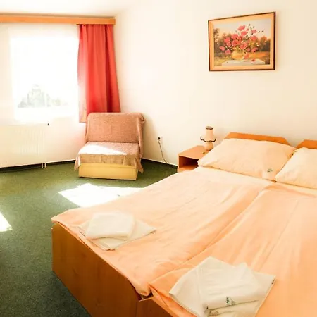 Hotel Velky Rybnik *