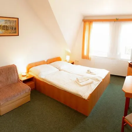 Hotel Velky Rybnik *