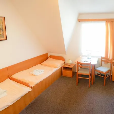 Hotel Velky Rybnik Dehtare (Vysocina)