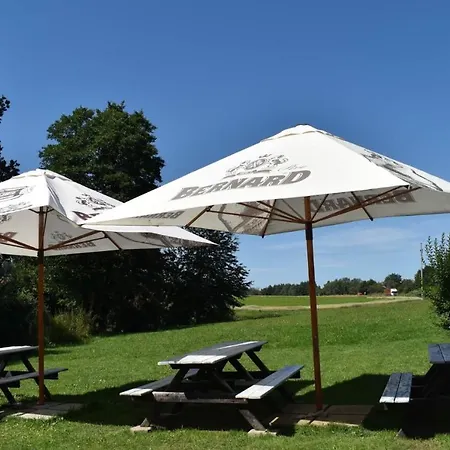 Hotel Velky Rybnik Dehtare (Vysocina)